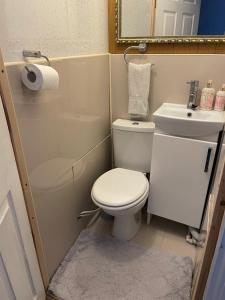 ROOM with SHOWER, TOILET and KITCHENETTE