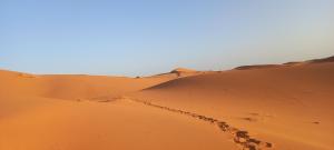 Akour Dessert Camp