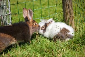 Pension Rennlehen Ferienwohnungen