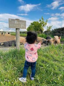 Tiny House nature proche Montargis - 1h de Paris !