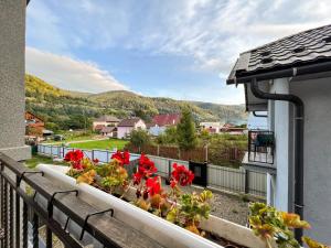 Готель Ципа