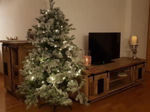 Alpin Resort Kaprun Top 6