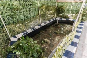 Joyful Ambiance Retreat