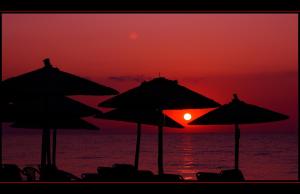 Hotel White Rose Beach Olympos Greece