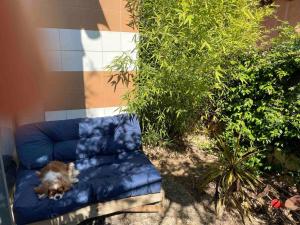 Charming Studio to Venelles 10 minutes from Aix