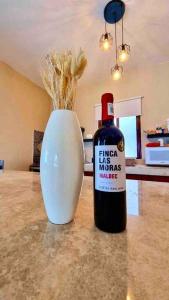 Casa Libelula Beachfront House