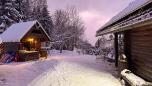 obrázek - Dwarfs cabin overlooking Julian Alps near Bled