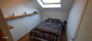 Le refuge aux Papillons