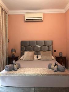 Riad Ramona lQariya seyaheya