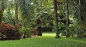 Chácara Irmandade - 里贝朗普雷托