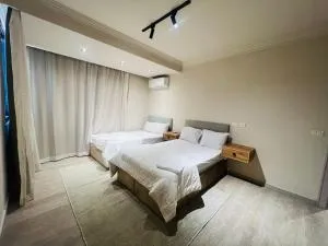 Side nile view apartment in zamalek - 开罗