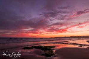 Saltwater Haven - Pets Welcome. Wifi. Amazing View