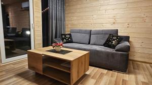 Domek Madzi - Misiowa Polanka - domek z możliwością dodatkowego wynajęcia sauny