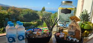 Villa de standing Les Amandiers, vue mer & piscine