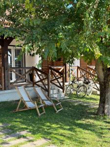 Magnolia by Radovanovic