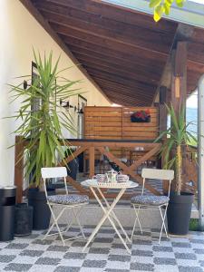 Magnolia by Radovanovic