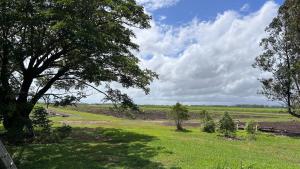 Feng Shui Sugarcane Cabin