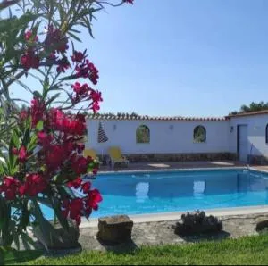 Fazenda do Marante - Linhaceira