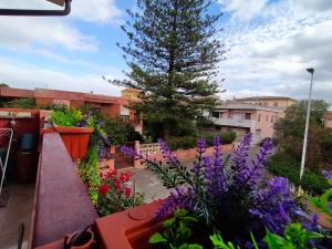 domu de babbai img24