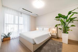 Allzip Archieve4H Residence hotel Busan