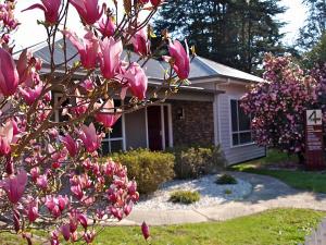 4 Anderson - In the heart of Bright!