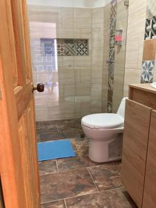 Apartahotel Villa Carolina 2