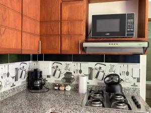 Apartahotel Villa Carolina 2