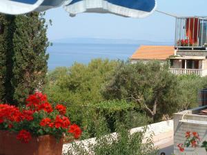 Apartments Dinka - cosy & pet friendly