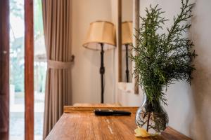 2BDR Villa on the River Bank with Rice Field View - 1