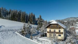 Appartementhaus Schmalzermoos