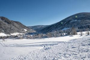 Appartementhaus Schmalzermoos