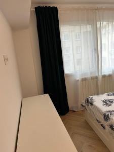 Alex Apartament Central