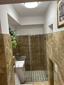 Alex Apartament Central