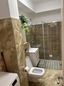 Alex Apartament Central