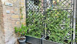 Assisi, Angolo di Matilde