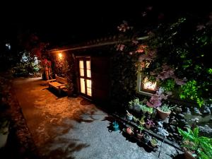 Casa Jardin Tropical