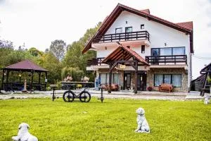 Vila Vibrant - Poarta