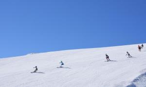 Anna Apartment near Gondola