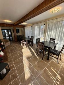 Black Wolf PĂLTINIȘ