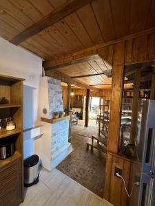 Black Wolf PĂLTINIȘ