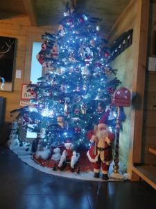 Chalets Nouveau Chalet M.META 12 pers sauna,jacuzzi,billard : photos des chambres