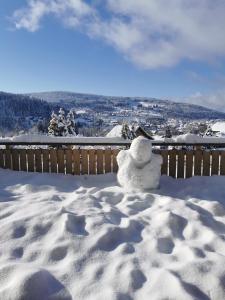 Chalets Nouveau Chalet M.META 12 pers sauna,jacuzzi,billard : photos des chambres