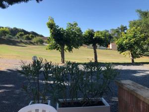 Appartements Proche Sarlat : Ideal Couple - Climatise & Piscine : photos des chambres