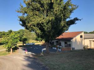 Appartements Proche Sarlat : Ideal Couple - Climatise & Piscine : photos des chambres