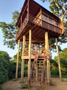 Leopard Nest - Glamping in Yala