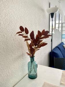 Arcadia del Mar Apartment