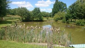 Maisons de vacances 24H Le Mans - Les Haies Gite, near Le Mans Circuit : photos des chambres