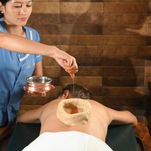 Soul Vacation Resort and Spa,Colva