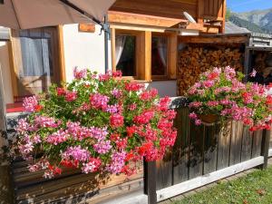 Chalets Le Longet : photos des chambres