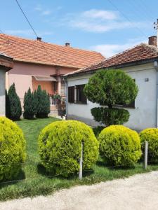 Nikolic Apartment